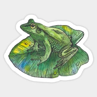 Green frog on green leaf Sticker